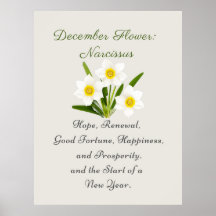 Dezember Geburtsmonat Blume Narcissus Elegante