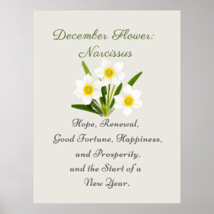 Dezember Geburtsmonat Blume Narcissus Elegante Poster