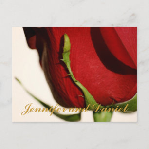 Dezember-Hochzeits-Rot-Rosen-Ankündigungskarte Einladungspostkarte