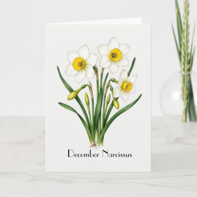 Dezember-Narzissen-Blumen-Gruß Karte (Vorderseite)