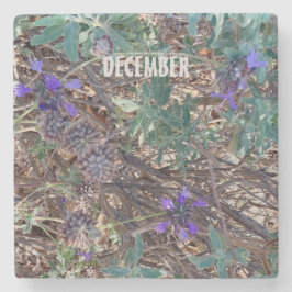 DEZEMBER STEINUNTERSETZER