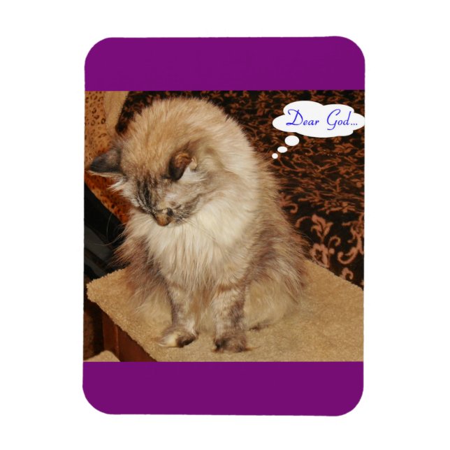 Dezi beti Magnet (Vertikal)