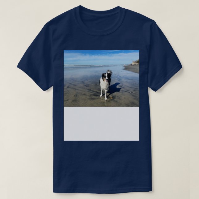 dh in San Diego TShirt 1 (Design vorne)