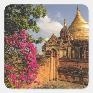 Dhamma Yazaka Pagode in Bagan, Myanmar Quadratischer Aufkleber