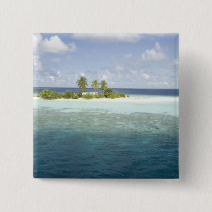 Dhiggiri-Insel, South Ari Atoll, Malediven, Button