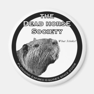 DHS Kühlschrank Magnet