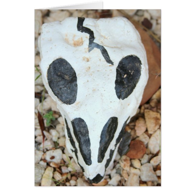 dia del muerte skull (Vorne)
