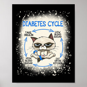 Diabetes Zyklus Diabetes Aufklärung Spaß Katze Poster