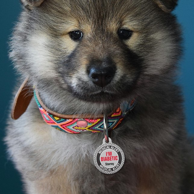 Diabetiker Pet Medizinischer Warnhinweis Individue Haustiermarke (Von Creator hochgeladen)