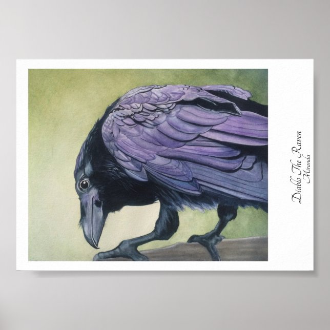 Diablo The Crow Black Raven Art Miranda Poster (Vorne)