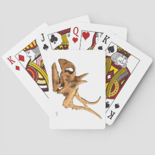 Diabloceratine Spielkarten