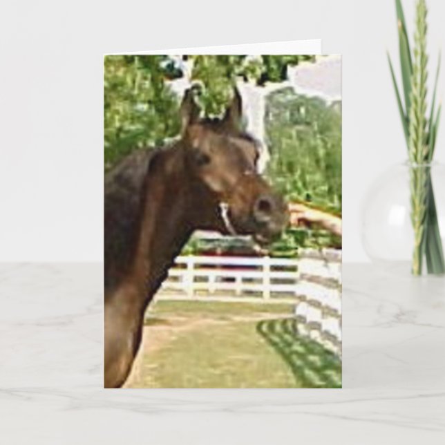 Diadhems Aziza Feiertagskarte (Vorderseite)