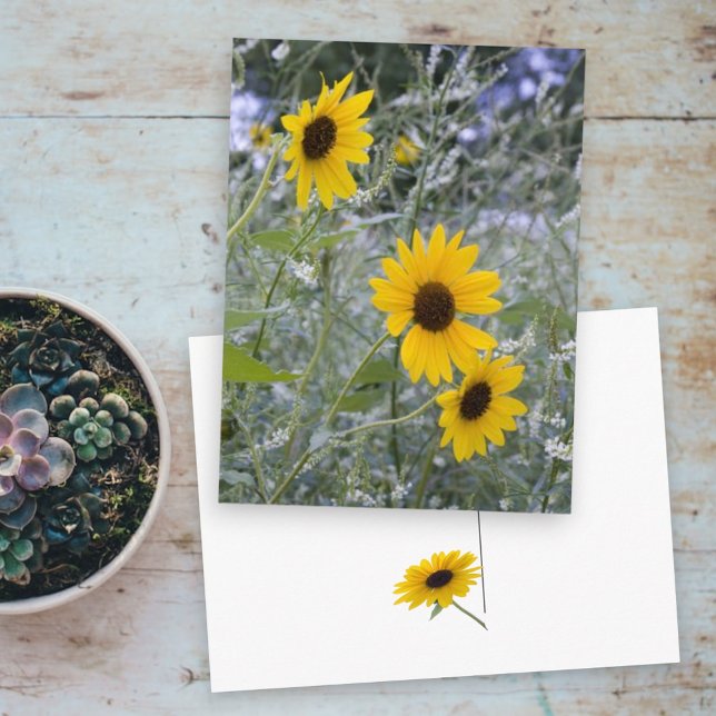 Diagonal Stack Sonnenblumen Postkarte (three sunflower front and back single sunflower postcard)