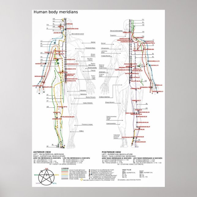  Diagram Schematic Chinese Meridians Human Body  Poster (Vorne)