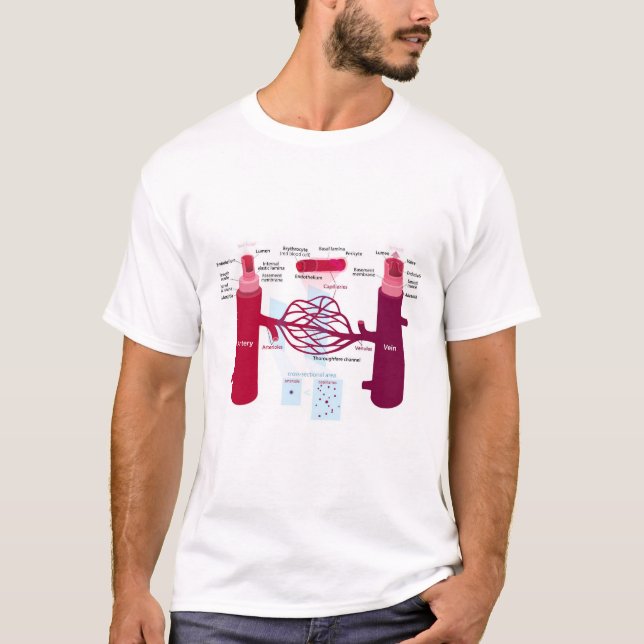 Diagramm Blutgefäße Arterien Venen Kapillaren T-Shirt (Vorderseite)