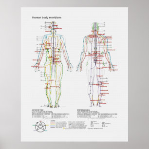 Diagramm der chinesischer oder menschlicher poster