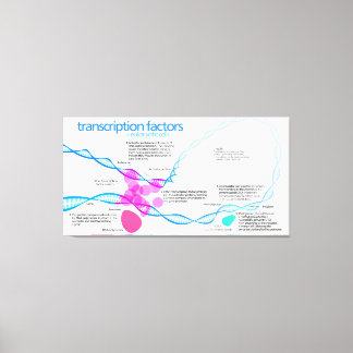 Diagramm der Gentranskriptionsfaktoren Leinwanddruck