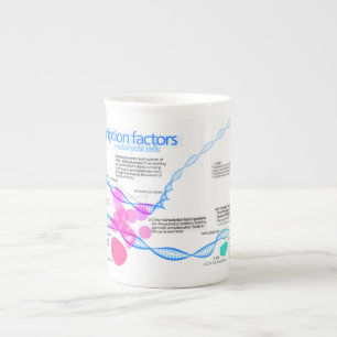 Diagramm der Gentranskriptionsfaktoren Prozellantasse