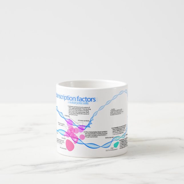 Diagramm der Genübertragungsfaktoren Espressotasse (Vorderseite)