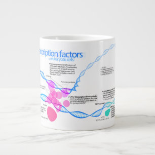 Diagramm der Genübertragungsfaktoren Jumbo-Tasse