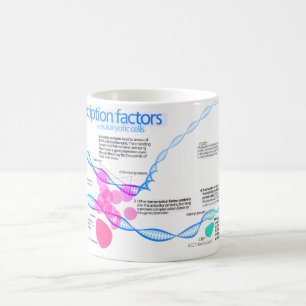 Diagramm der Genübertragungsfaktoren Kaffeetasse