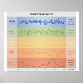 Diagramm der menschlichen Gehirnwellen - Rainbow C Poster