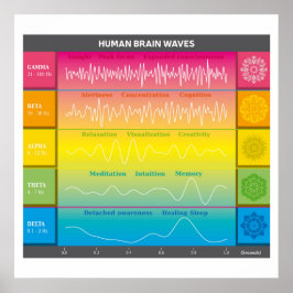 Diagramm der menschlichen Gehirnwellen - Regenboge Poster