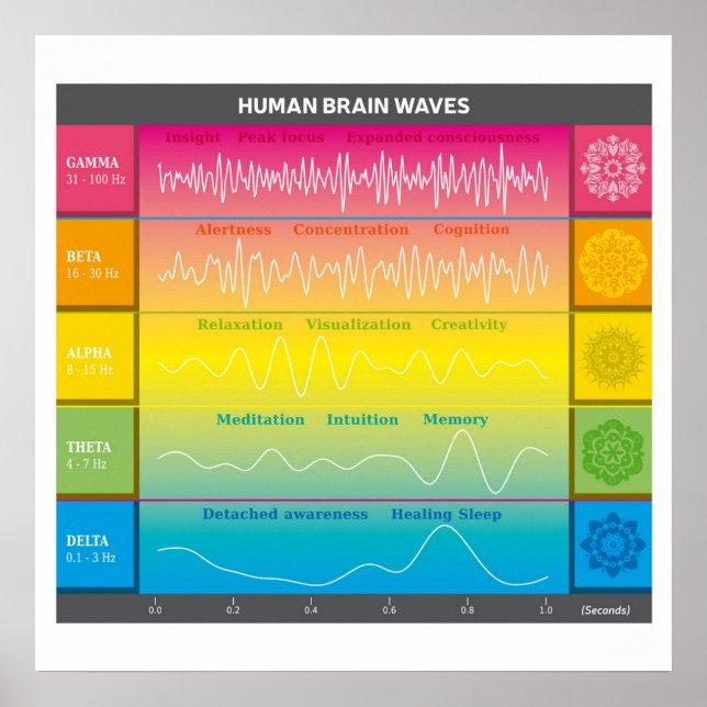 Diagramm der menschlichen Gehirnwellen - Regenboge Poster (Vorne)