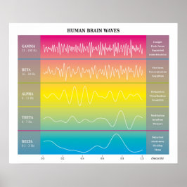 Diagramm der menschlichen Gehirnwellen - Regenboge Poster