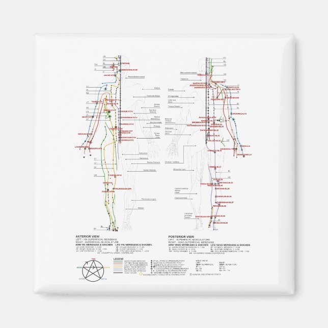 Diagramm der menschlichen Meridianer Magnet (Vorne)