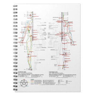 Diagramm der menschlichen Meridianer Notizblock