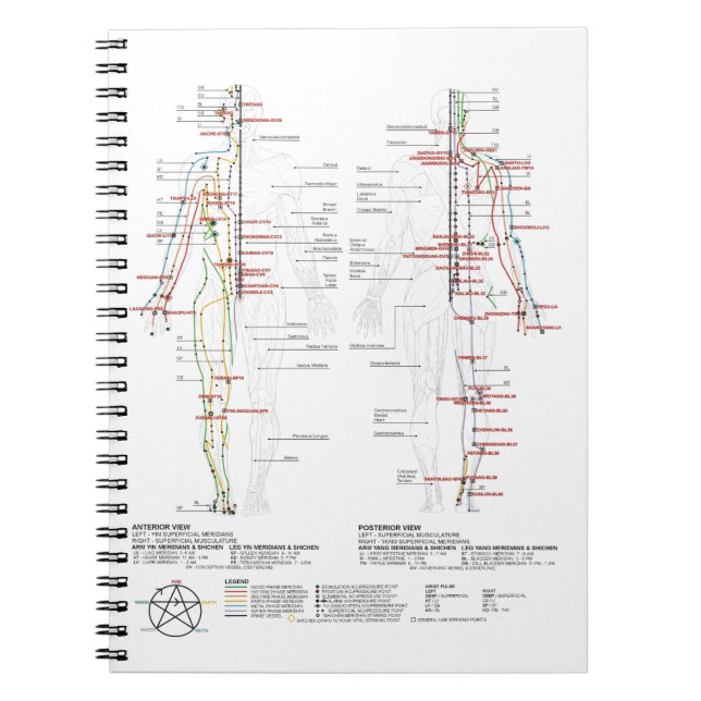 Diagramm der menschlichen Meridianer Notizblock (Vorderseite)
