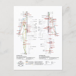 Diagramm der menschlichen Meridianer Postkarte