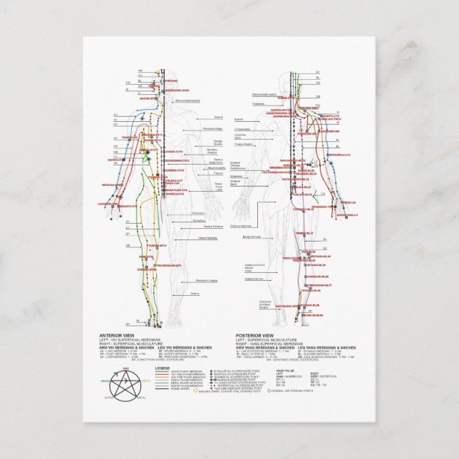 Diagramm der menschlichen Meridianer Postkarte (Vorderseite)