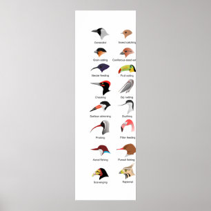 Diagramm der verschiedenen Vogelscheuchen-Anpassun Poster