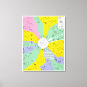 Diagramm des genetischen Codes mit Aminosäurerücks Leinwanddruck