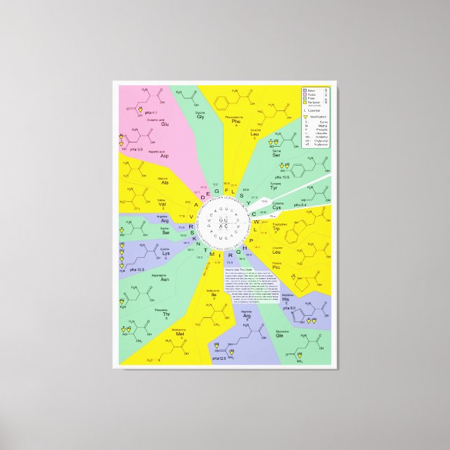 Diagramm des genetischen Codes mit Aminosäurerücks Leinwanddruck (Vorderseite)