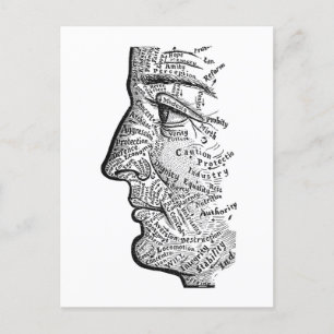 "Diagramm des Gesichts" Postkarte