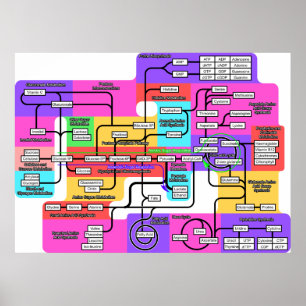 Diagramm des grundlegenden Stoffwechsels in lebend Poster
