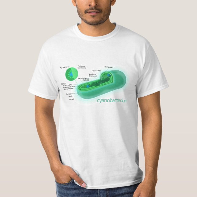 Diagramm einer typischen Cyanobacteria-Zelle T-Shirt (Vorderseite)