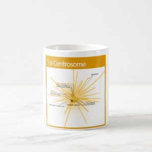 Diagramm eines Zentrosom Kaffeetasse