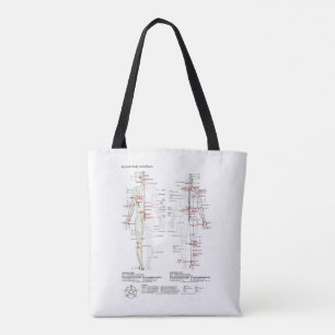 Diagramm Schema chinesische Meridiane menschlicher