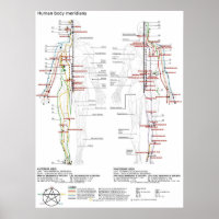Diagramm Schema chinesische Meridiane menschlicher