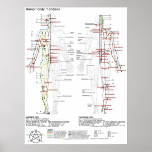 Diagramm Schema chinesische Meridiane menschlicher Poster