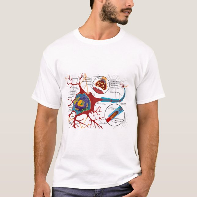 Diagramm vollständige Nervenzelle Nervensystem  T-Shirt (Vorderseite)