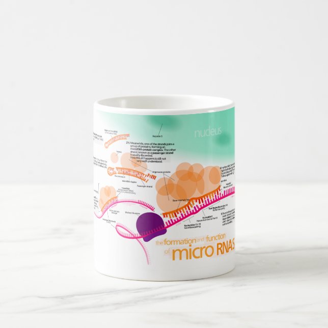 Diagramm von microRNA Tasse (Mittel)
