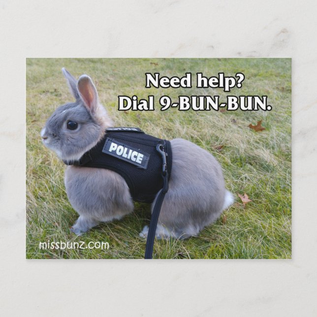 Dial 9 Bun Bun Postkarte (Vorderseite)