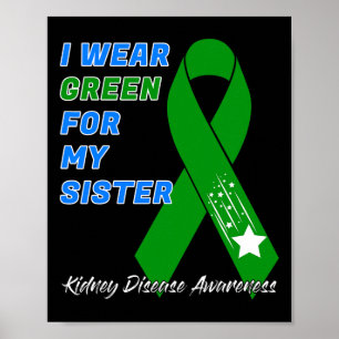 Dialysetransplantation Spender Warrio Poster