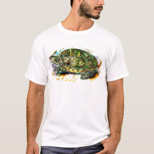Diamantmarkierung Dosenschildkröte-Schildkröte v T-Shirt