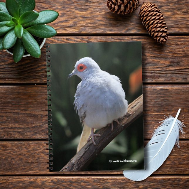 Diamanttaube im Spotlight Notizblock (Diamond Dove in the Spotlight Journal Cover Photo)